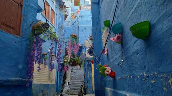 lovely_photos_of_blue_city_rajasthan.jpg