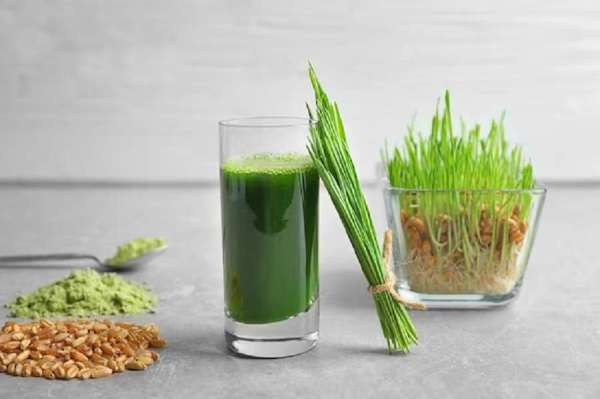 wheat_grass_benefits.jpg