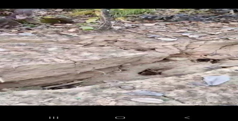 केंदई और विजयडांड में जमीन धंसी, खदान से प्रभावित है क्षेत्र