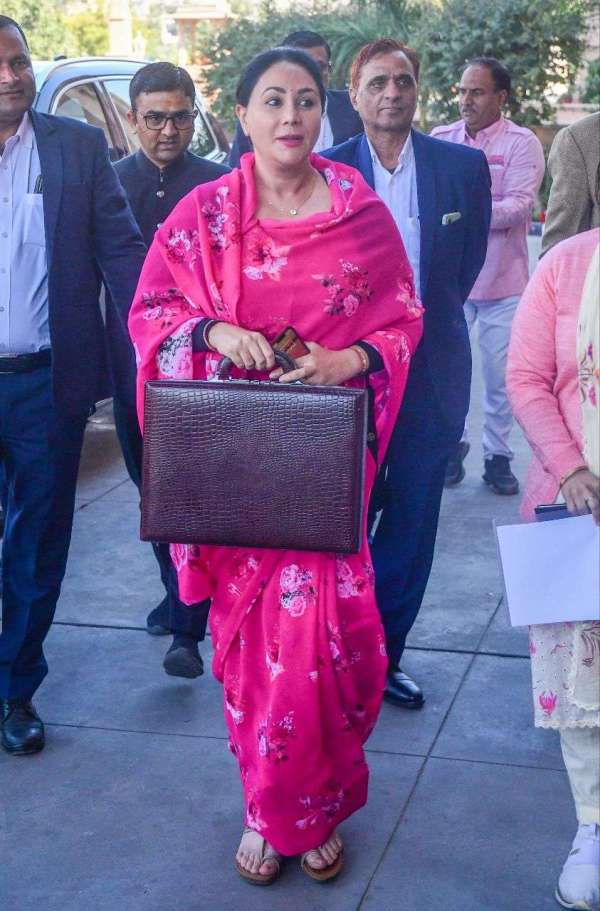 interim budget by diya kumari 