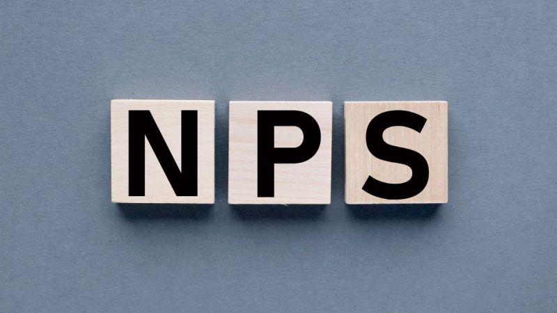 NPS gave 30 percent return in one year investment in pension scheme also increased by 29 percent