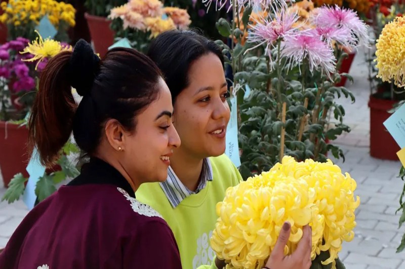 लुलु मॉल में शुरू हुआ फ्लावर फेस्टिवल,15 फरवरी तक चलेगा फेस्टिवल