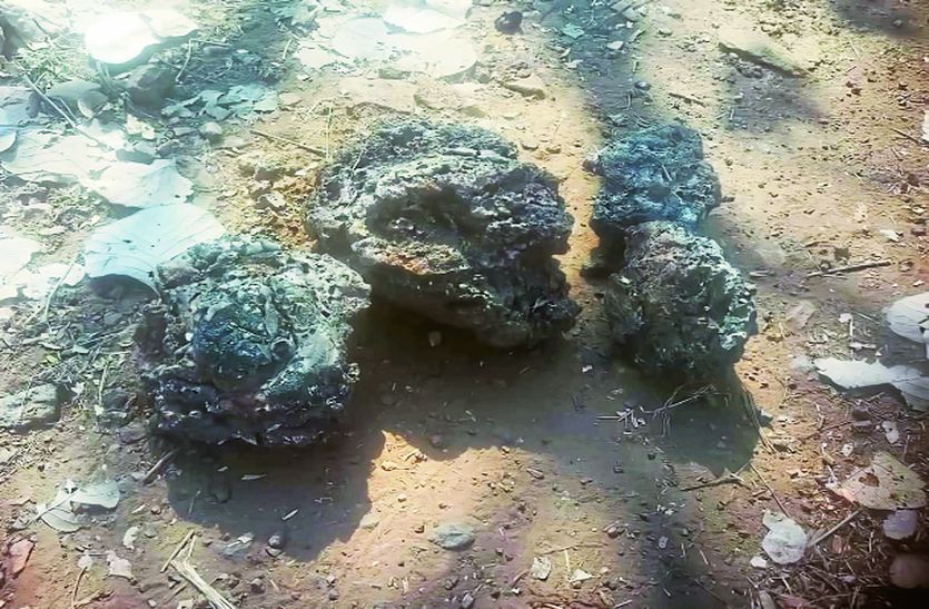 रावतभाटा के पास मिले प्राचीन लौह युगीन सभ्यता के अवशेष