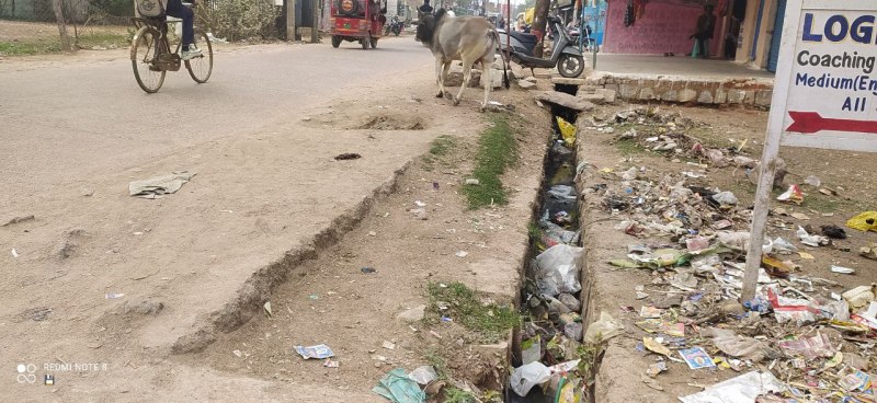  सफाई के बाद कचरा नहीं उठाने से वापस नाली में पहुंच रहा