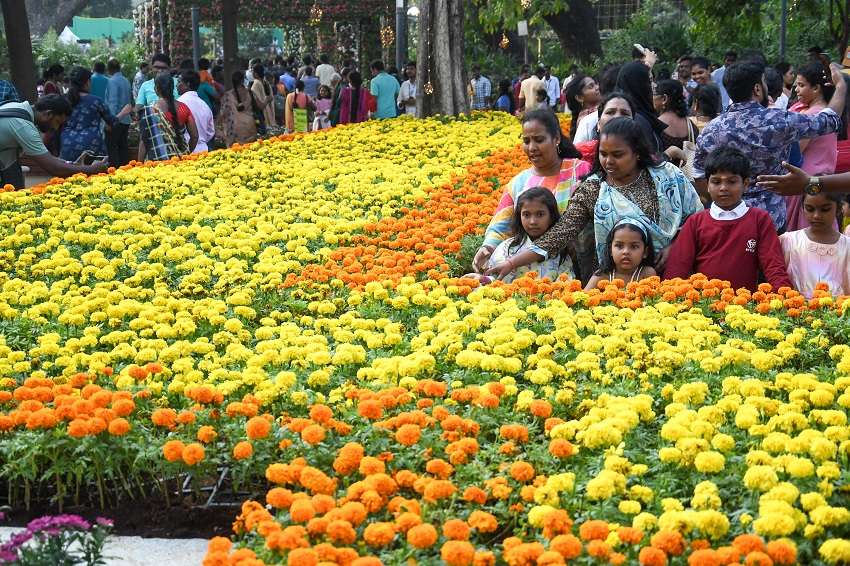 photos : 12 लाख से अधिक रंग-बिरंगे फूल महक रहे सेमोझी उद्यान में, आकर्षित हो रहे
आगंतुक