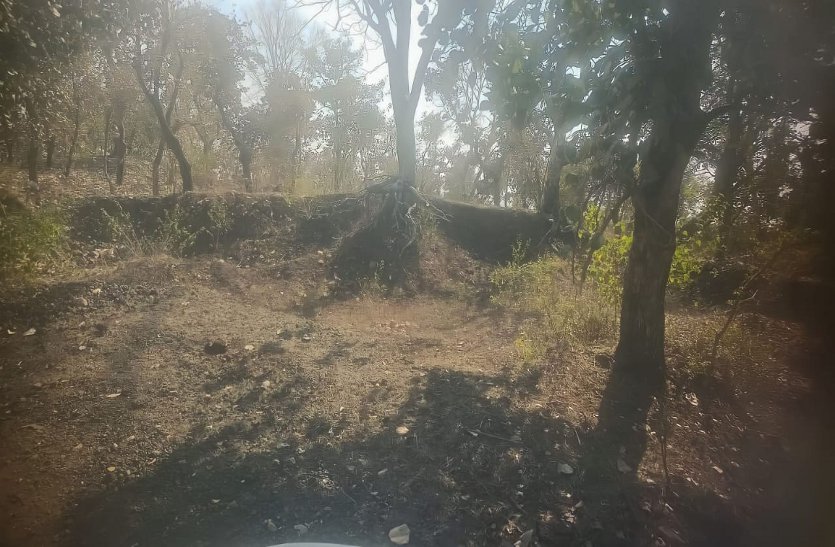 रावतभाटा के कुशलगढ़ एवं जाम्बूदीप का खेड़ा में मिले प्राचीन लौह युगीन सभ्यता के अवशेष