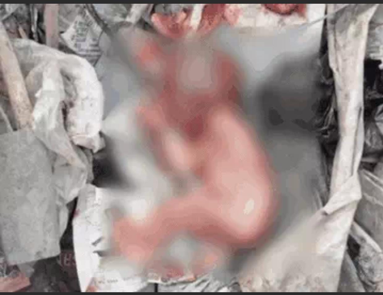 खेत में घास काट रहीं थी महिलाएं , अचानक इस चीज को देख आसपास मचा हड़कंप