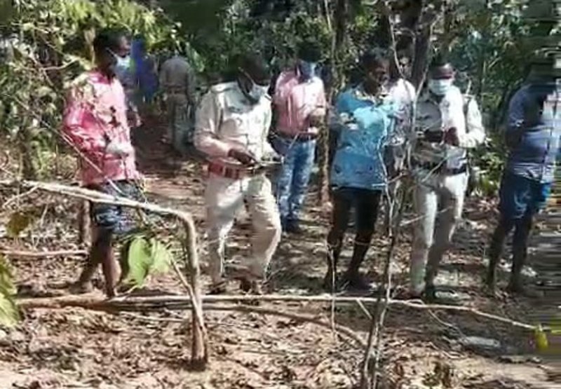 Elephants killed villagers