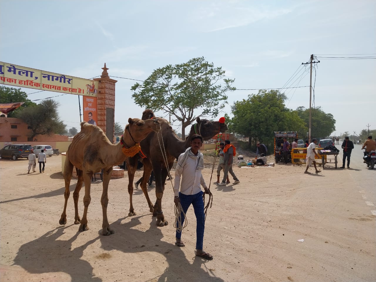Nagaur news