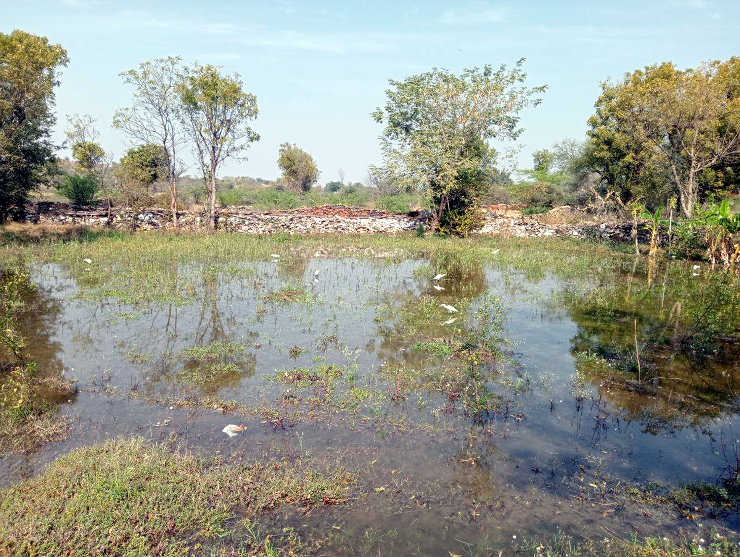 kunwaria.jpg