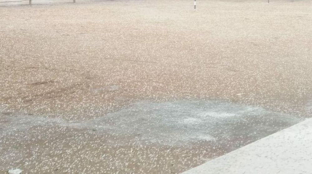 Weather Alert: राजस्थान में 24 घंटे में बारिश के साथ गिरेंगे ओले, 13 जिलों में अलर्ट जारी