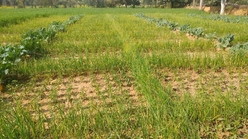 दूर हुई तंगहाली..घर में आई मोटर गाड़ी