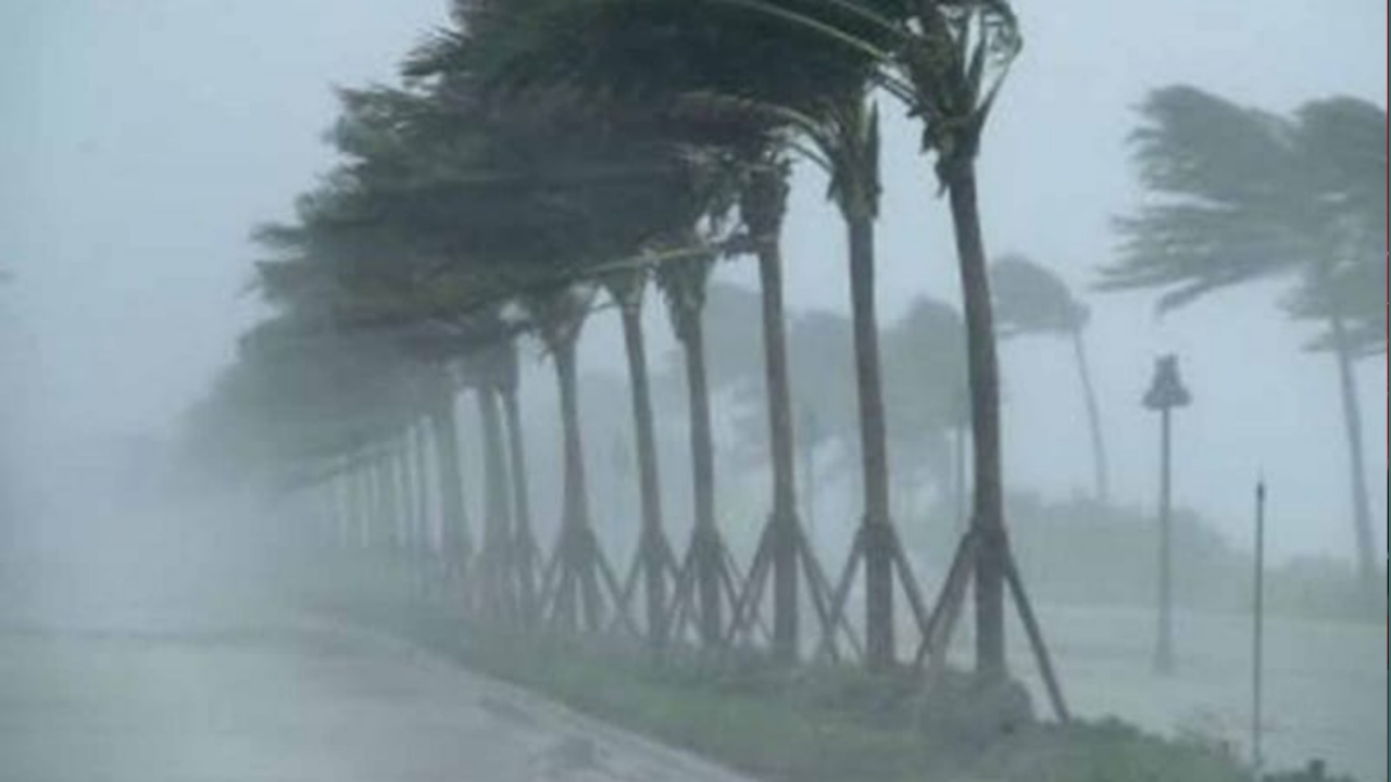 सांकेतिक फोटो सोशल मीडिया से