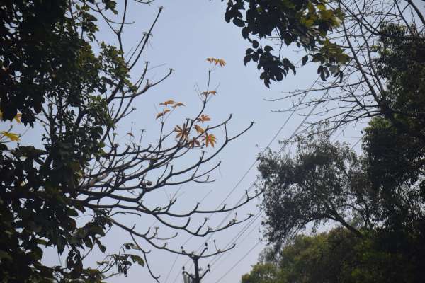 गर्म हुआ मौसम