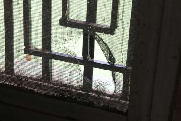 Thieves had locked the sleeping family