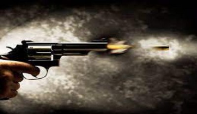 Firearms