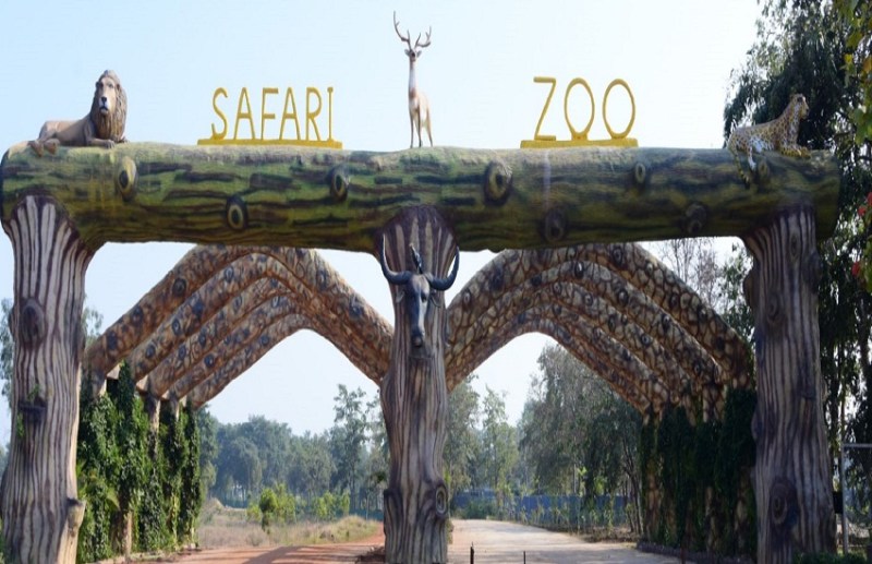 jungle_safari.jpg