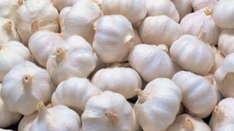 Garlic is being sold very cheap in Nepal