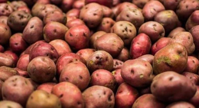 Mandi Bhav 22 February 2024