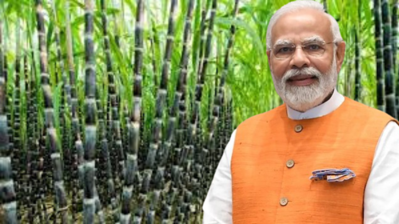 PM Modi Cabinet increases FRP for Sugarcane to Rs 340 Quintal Farmers Protest