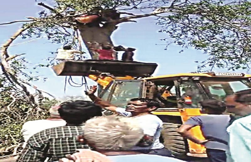 rajnandgaon_accident.jpg
