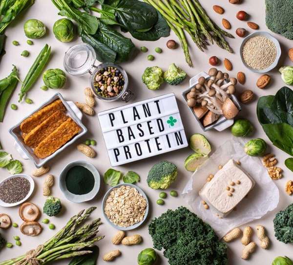 plant-based-protein.jpg