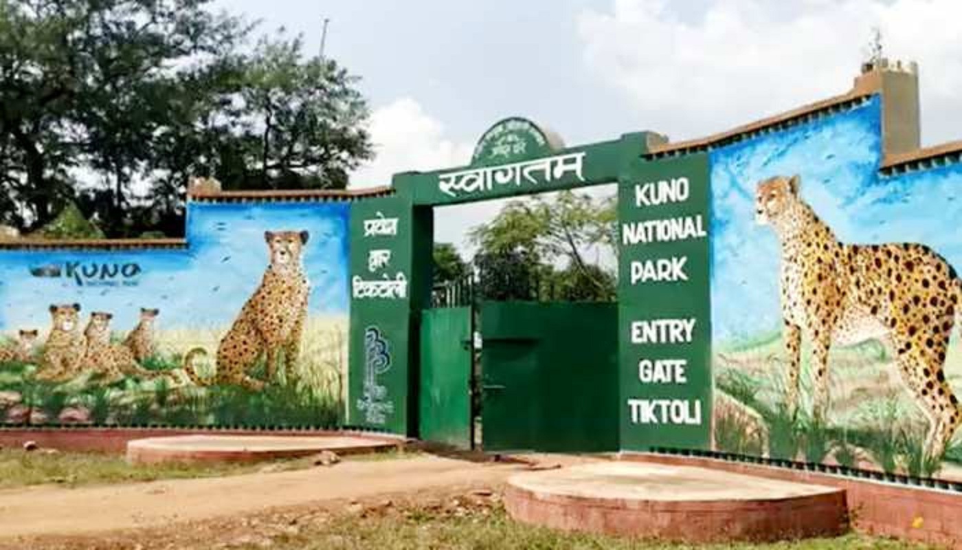 सुप्रीम कोर्ट के एक आदेश ने अटकाई कूनो नेशनल पार्क की चीता सफारी