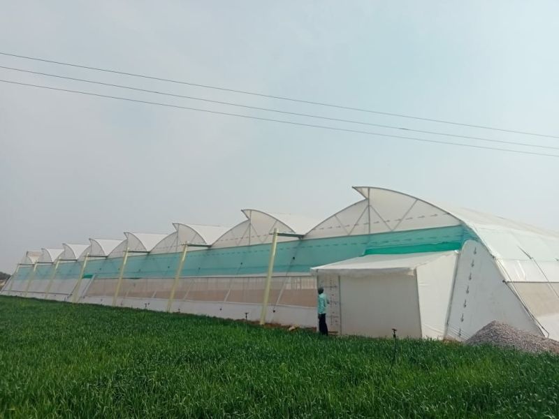 पॉली हाउस तकनीक से किसानों को हो रहा दोगुना मुनाफा