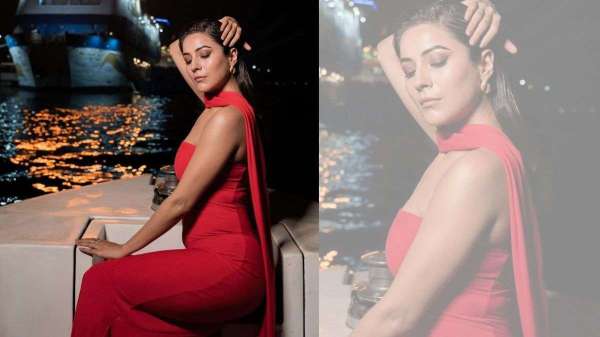 shehnaaz gill latest photo