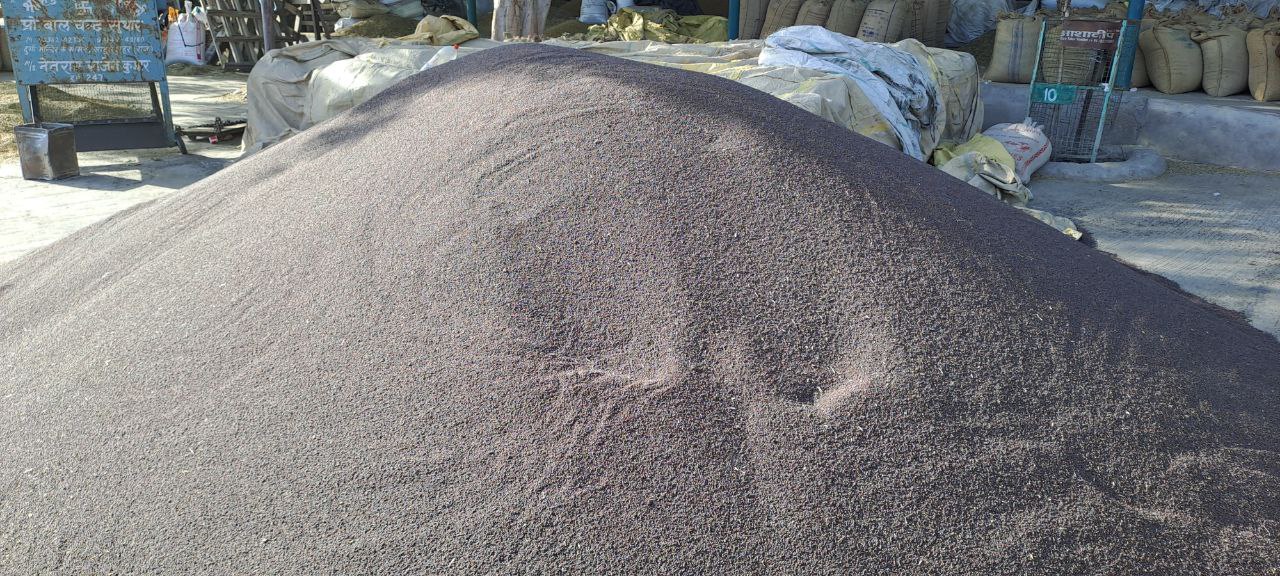न्यूनतम समर्थन मूल्य पर सरसों व चना खरीद की तैयारियां