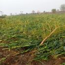 Water on hard work, rain with strong wind and storm at midnight