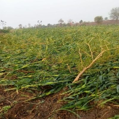 Water on hard work, rain with strong wind and storm at midnight