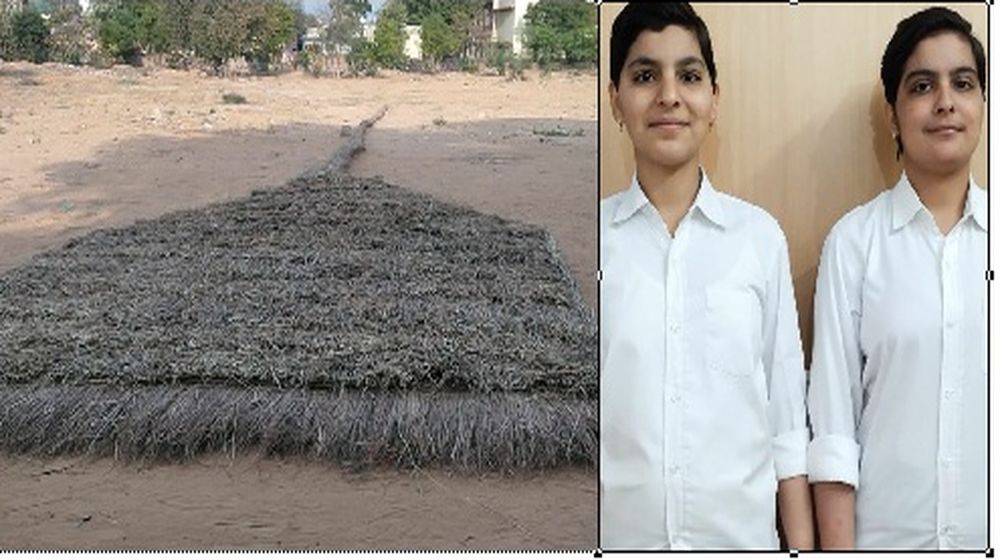 Largest broom