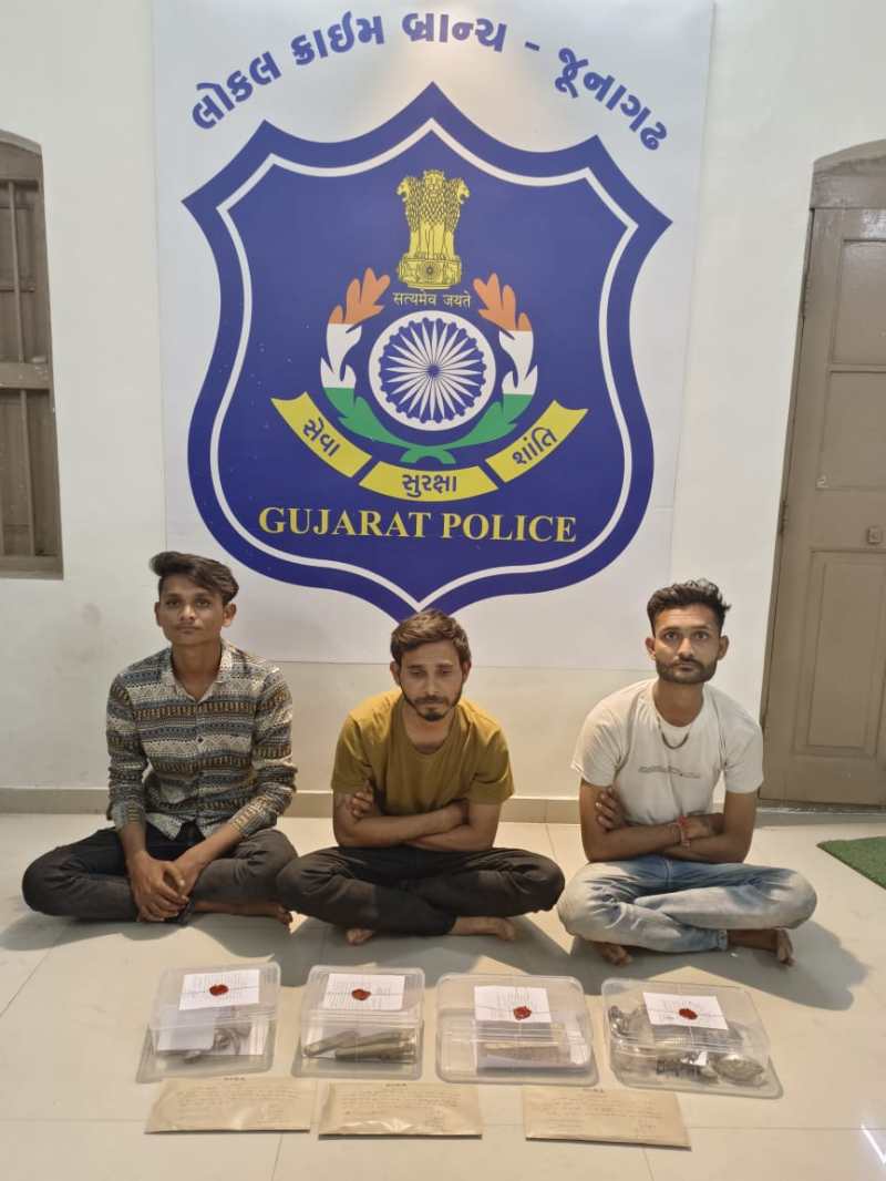 जूनागढ़ : मंदिरों में चोरी करने वाले गिरोह के तीन सदस्य गिरफ्तार
