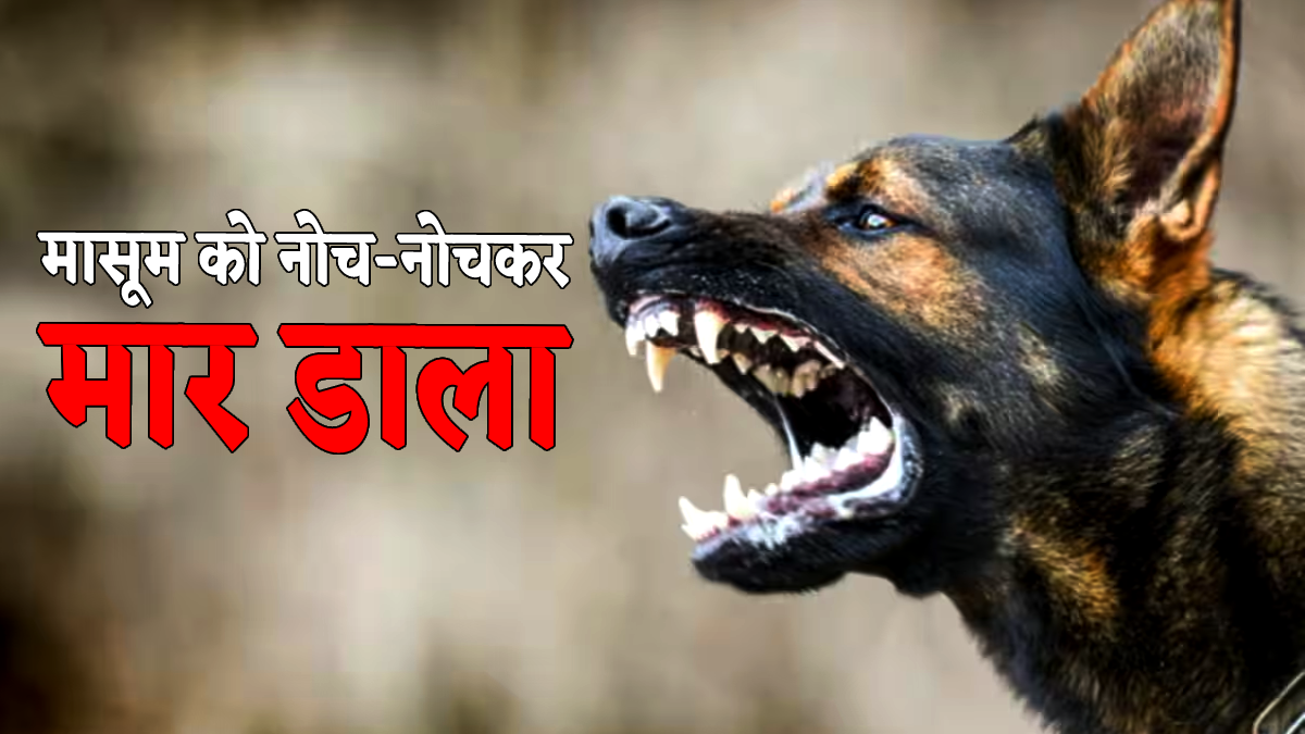 dog attack in barwani