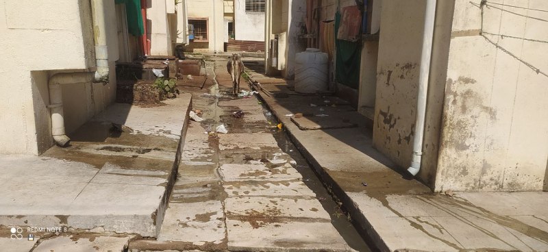  पुलिस आवास के हाल