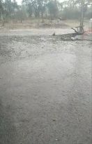 33 डिग्री तापमान में तपा मंदसौर तो भैसोदा से लेकर शामगढ़ में बारिश