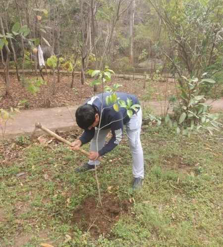environment