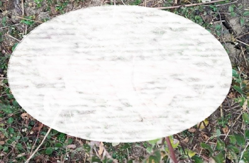 नवजात शिशु 