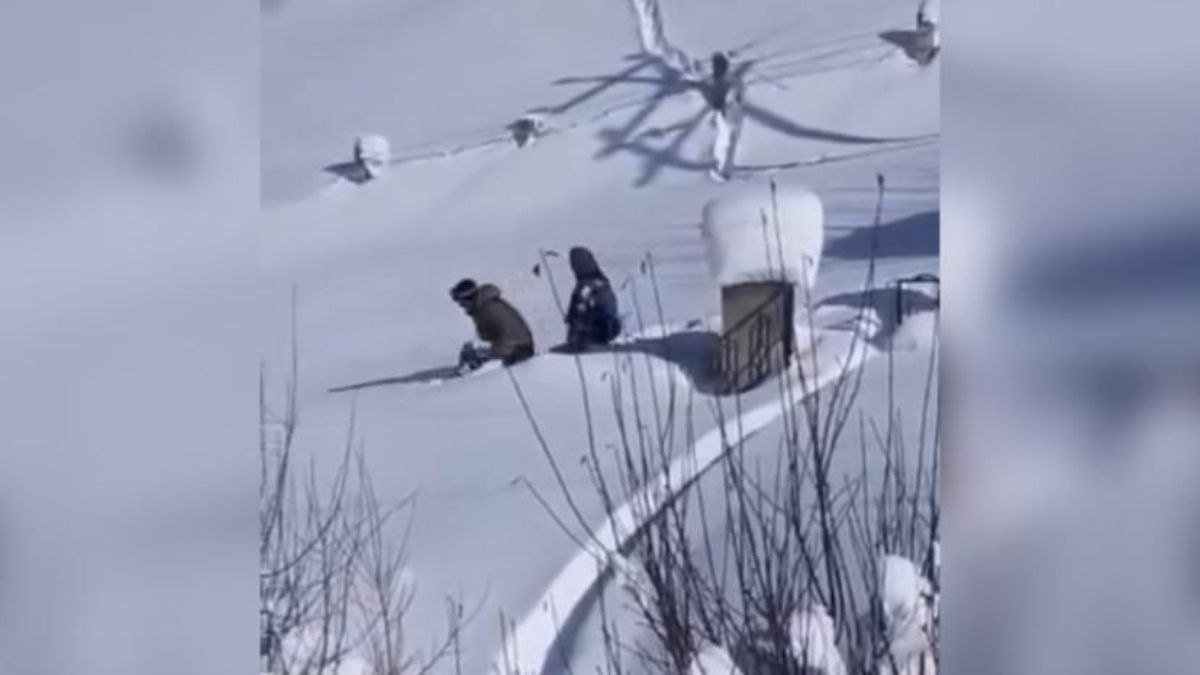 बेटी का था बोर्ड एग्जाम, पिता ने बर्फ पर बनाई 4 किमी लंबी सड़क, सामने आया दिल छू
लेने वाला वीडियो