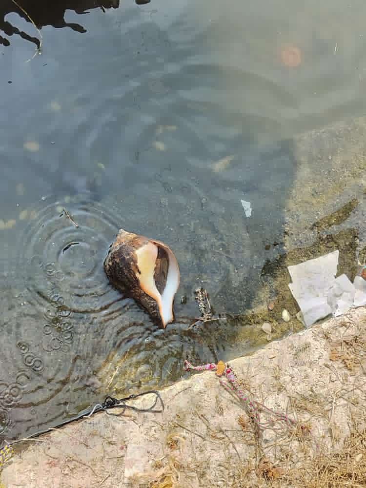 शिवरात्रि से पहले तमिलनाडु के इस मंदिर में हुआ अद्भुत चमत्कार