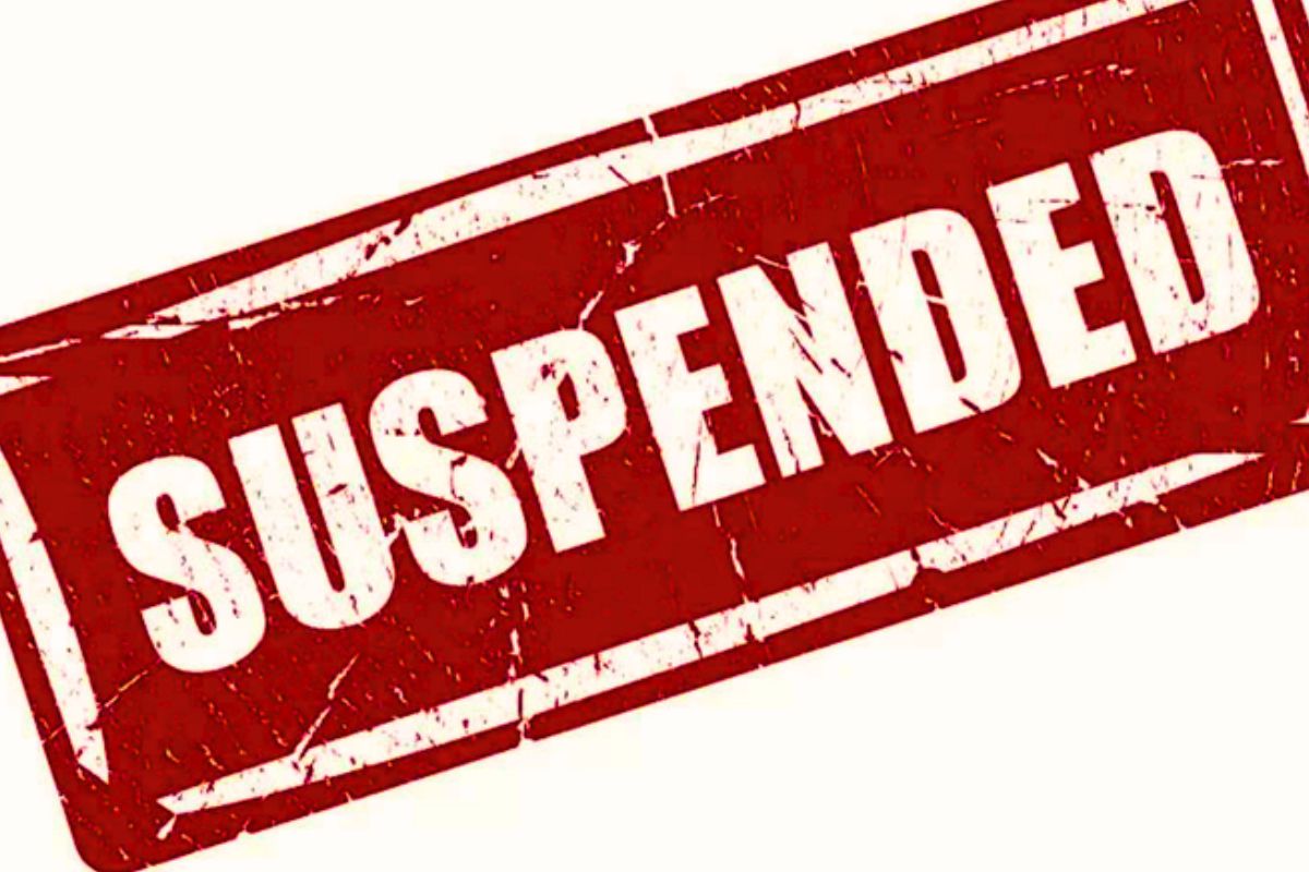suspended.jpg