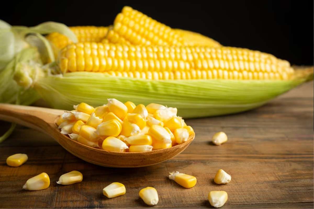 sweet-corn.jpg