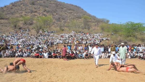 kushti dangal in alwar