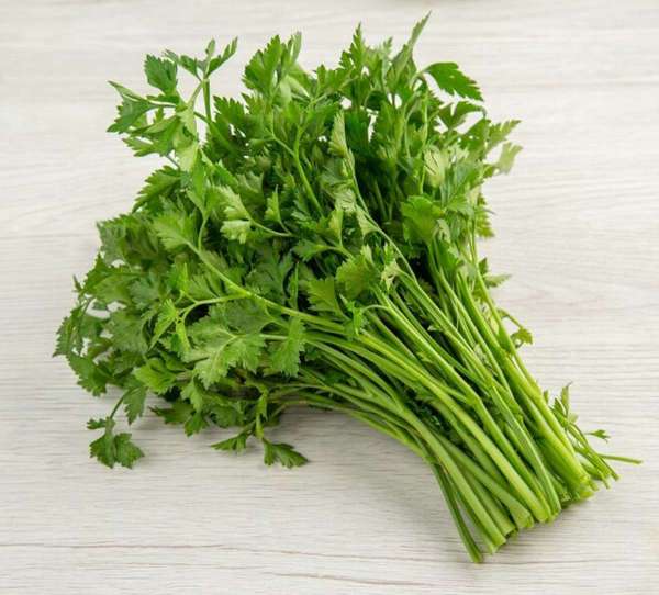 green-coriander.jpg