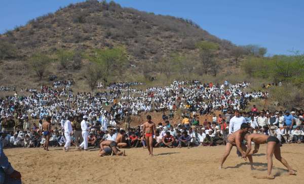 kushti dangal in alwar