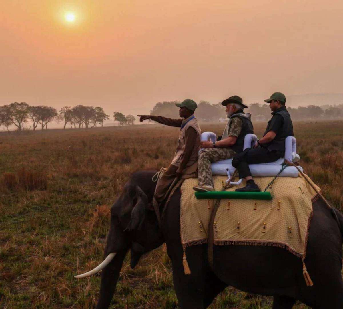 PM नरेंद्र मोदी हैं ‘प्रकृति प्रेमी’, देखिए 10 अनदेखी तस्वीरें