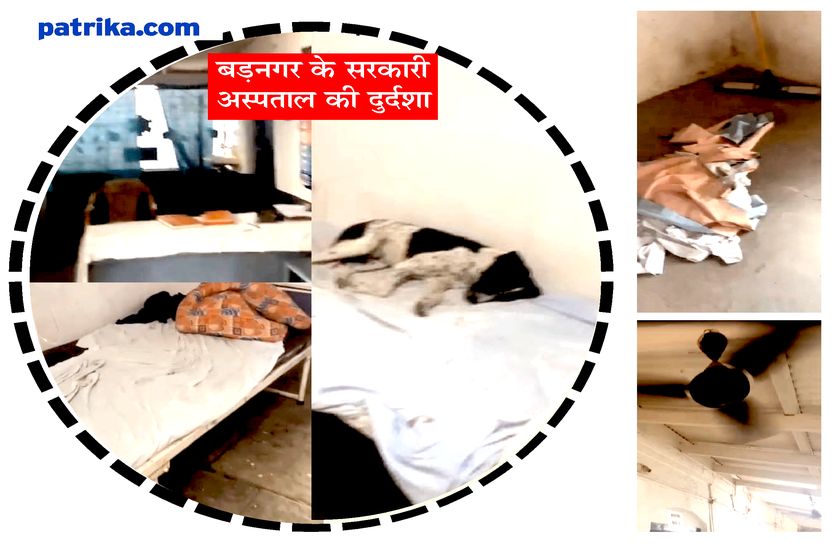 वीडियो : अस्पताल की ऐसी दशा… मरीजों के बेड पर आराम फरमा रहे श्वान