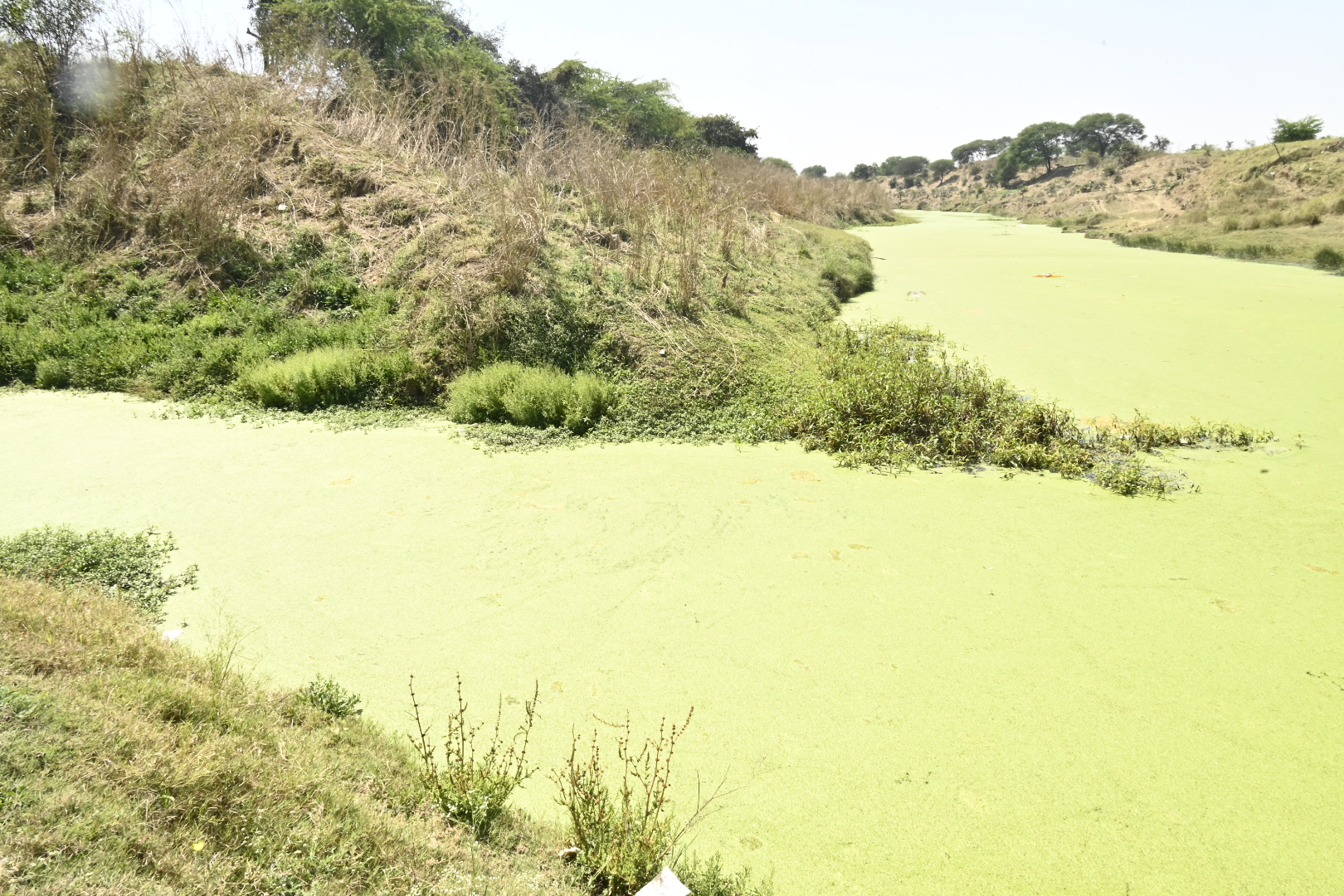 उद्योगों के जहरीले पानी से शिप्रा का आंचल मैला, 10 किमी के दायरे में बंजर हुई
जमीन