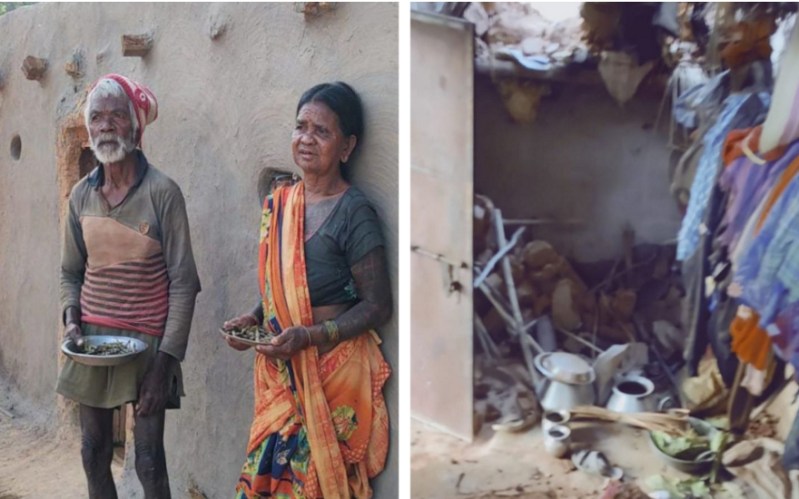 Elephants killed husband-wife